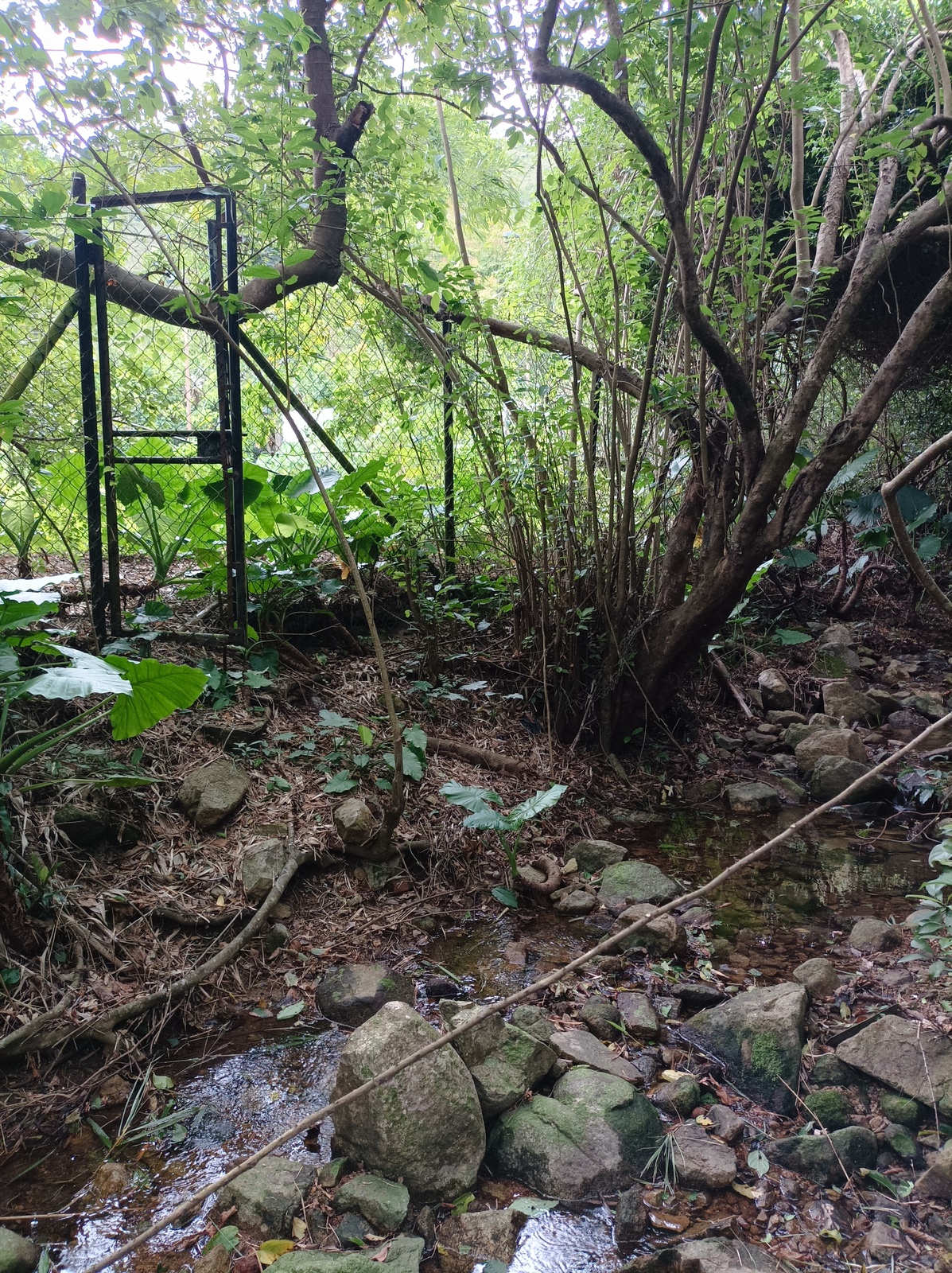 Le grillage est facultatif, il faut traverser les rapides